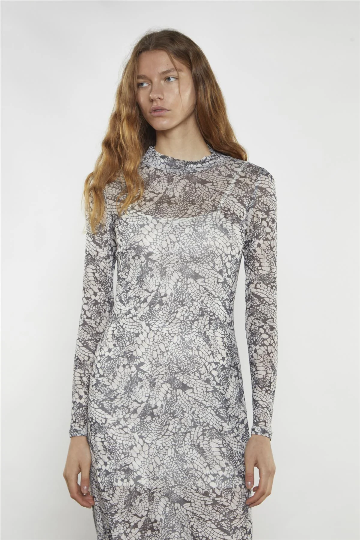 Grey-Snakeskin Mesh-Bodycon Midi-Dress - Image 3