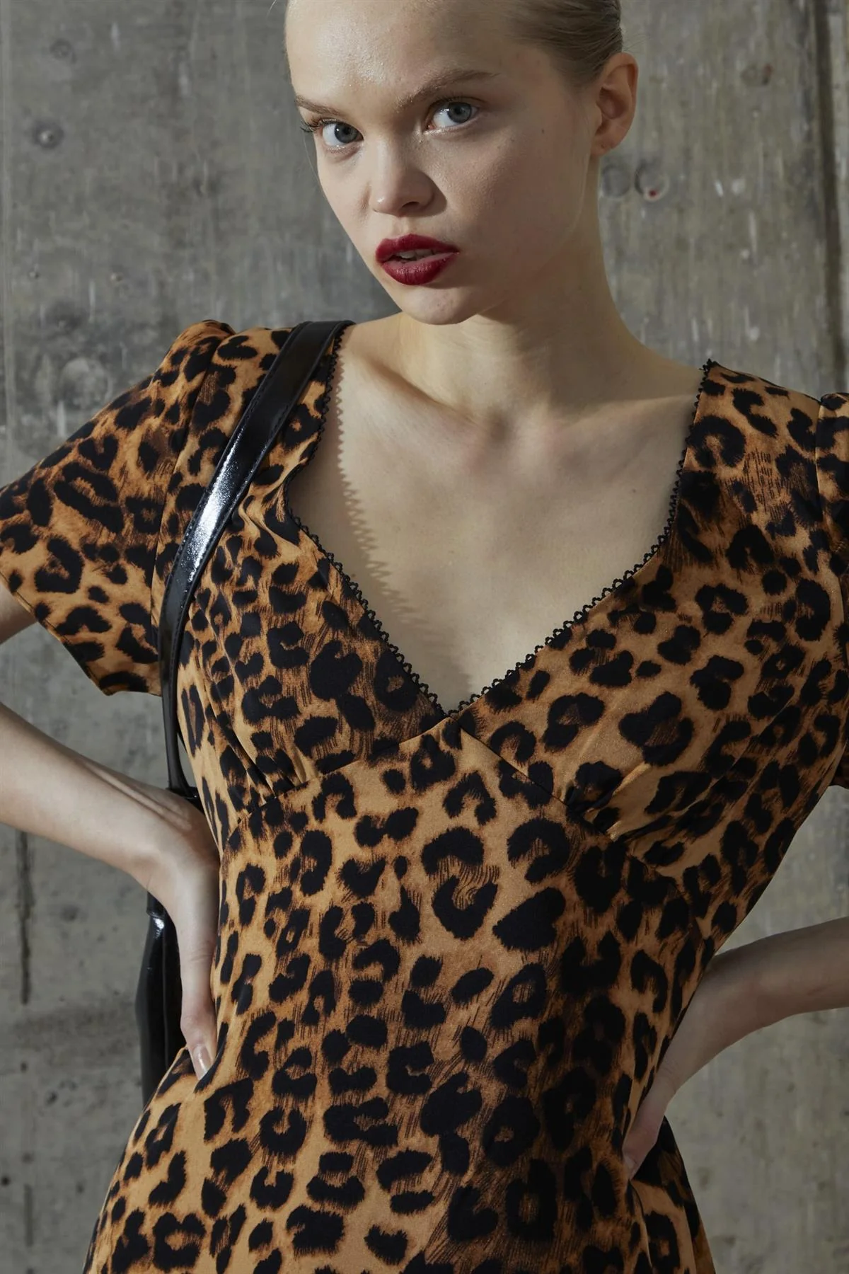 Leopard V-neck Midi-Dress - Image 4