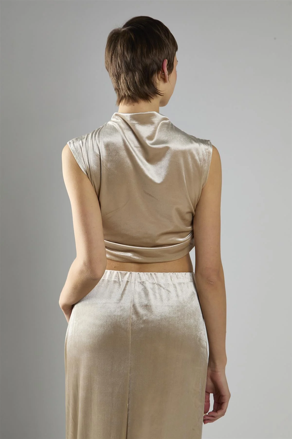 Oyester Velvet Sleeveless Mock Neck Crop Top - Image 2
