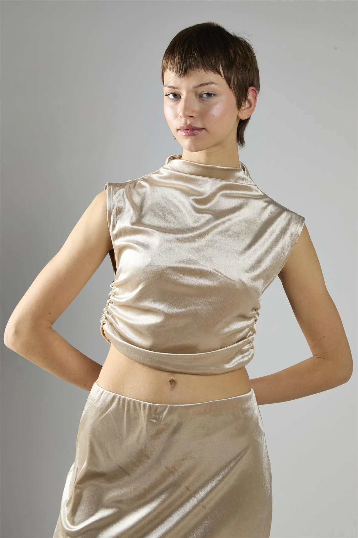 Oyester Velvet Sleeveless Mock Neck Crop Top - Image 3