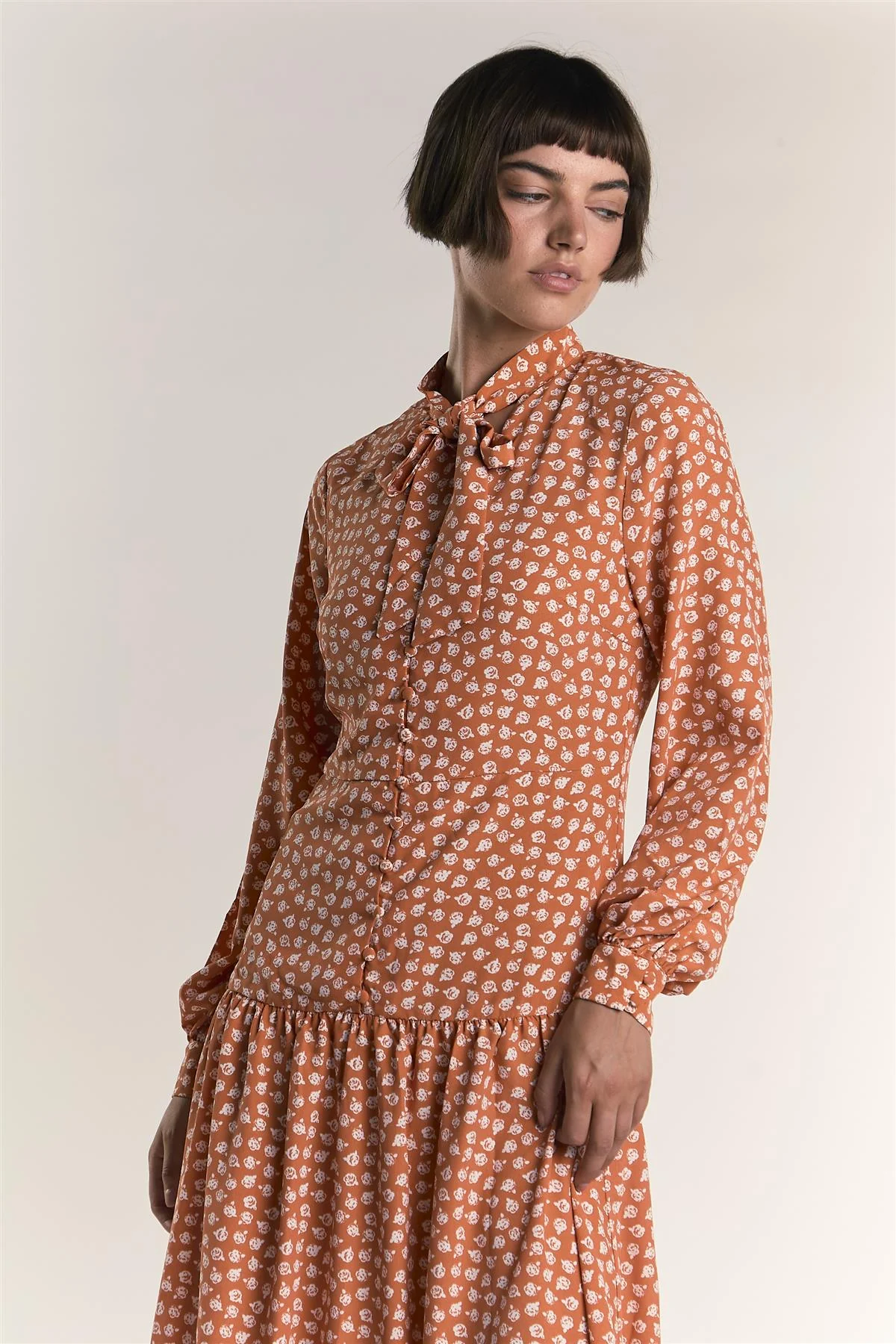 Rust Ditsy Tie Neck Long Sleeve Midaxi Dress - Image 4